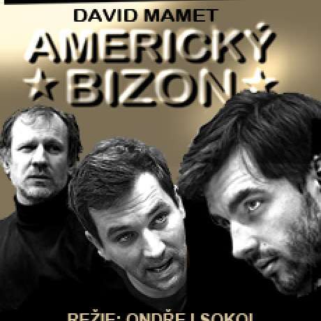 Americký bizon