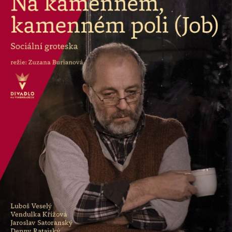 Na kamenném, kamenném poli (Job)