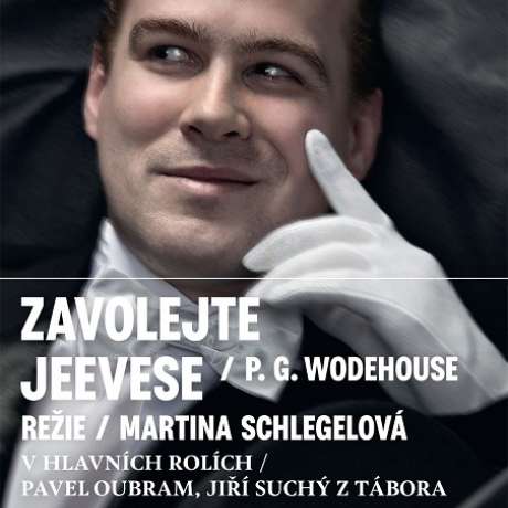 Zavolejte Jeevese