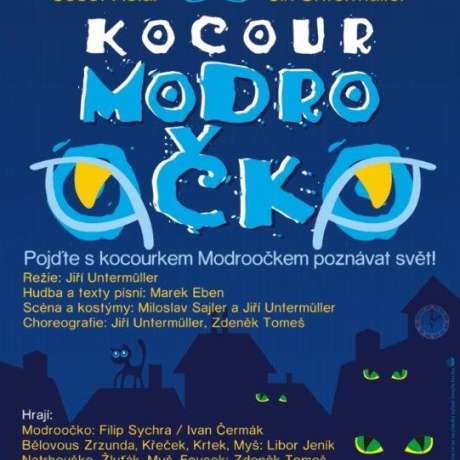 Kocour Modroočko